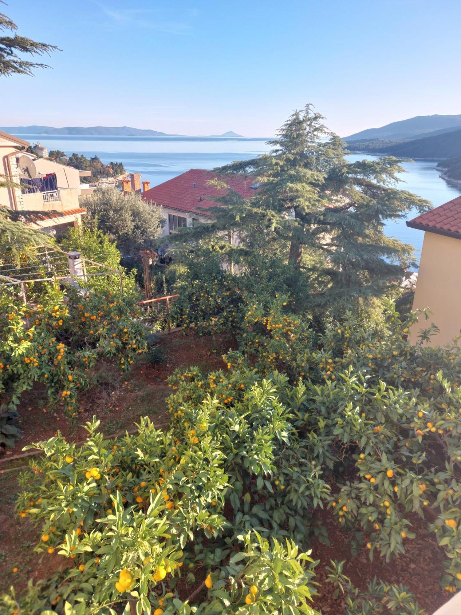 Apartment Park Rabac Esterno foto